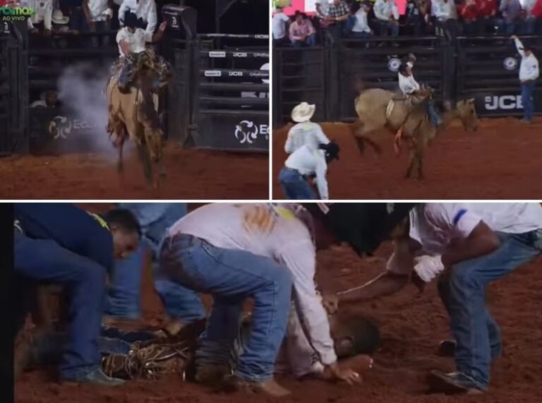 morador-de-santa-fe-do-sul-e-o-novo-campeao-da-modalidade-cutiano-no-rodeio-de-barretos